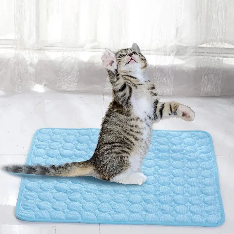 PawGlow Cooling Mat — Keep Your Pet Cool All Summer